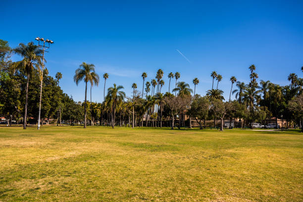 View of Pearson Park View of Pearson Park in Anaheim. anaheim california stock pictures, royalty-free photos & images