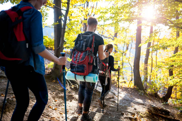istock Trekking with backpacks on forest trail, group of tourists 1206629483
