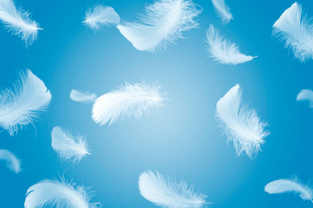 istock Soft a white feathers floating in the air 1206630905