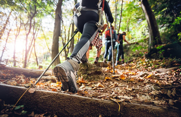 hiker woman with trekking sticks climbs steep on mountain trail, focus on boot - wood dirt road footpath exercising imagens e fotografias de stock