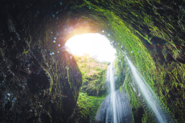 istock Jungle waterfall cascade in tropical rainforest.  Waterfall In Jungle ,Bali ,indonesia 1206633862