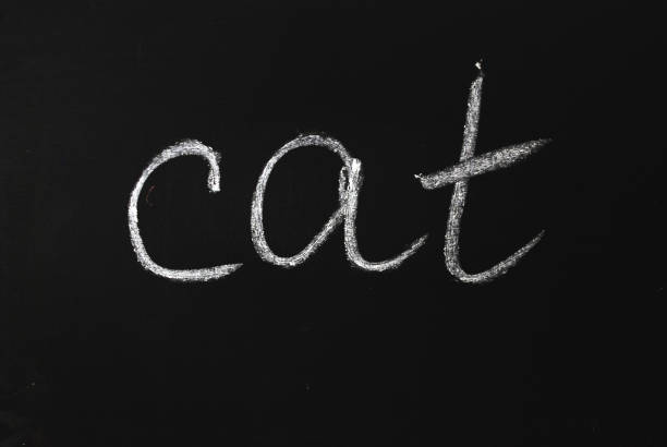 istock The word cat written in white chalk on a black chalkboard 1206635309