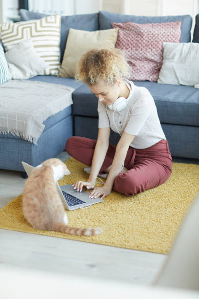 istock Woman using laptop at home 1206638044