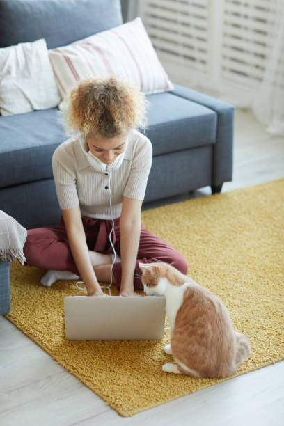 istock Woman with laptop at home 1206638052