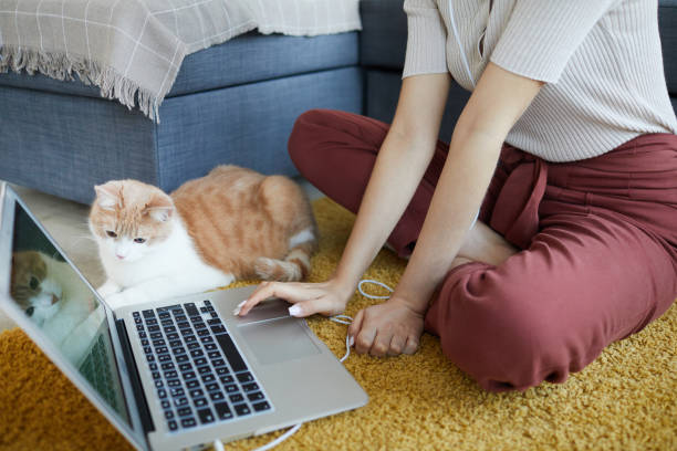 femme avec l’ordinateur portatif sur l’étage - pets table animal cheerful photos et images de collection