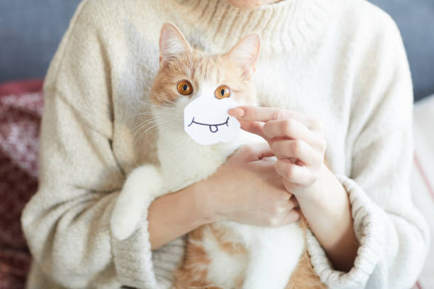 istock Cute cat giving a smile 1206638241