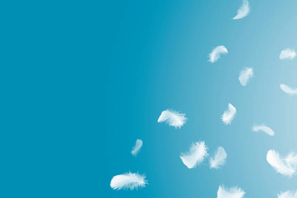 istock Soft a white feathers floating in the air 1206639707