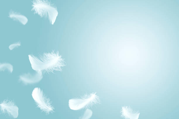 istock Soft a white feathers floating in the air 1206639713