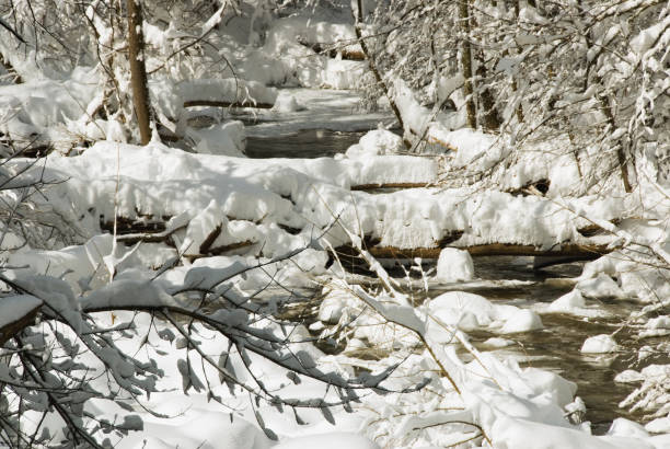 Coldly White Patapsco River in Maryland USA The coldly white fresh powder snow covered the Patapsco River in Ellicott City MD after a winter blizzard. ellicott city maryland stock pictures, royalty-free photos & images