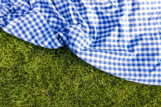 Green grass blue checked picnic cloth blanket Green grass blue checked picnic cloth blanket top view background picnic blanket stock pictures, royalty-free photos & images