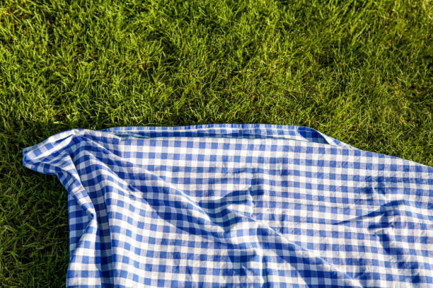 istock Green grass blue checked picnic cloth blanket 1206642109