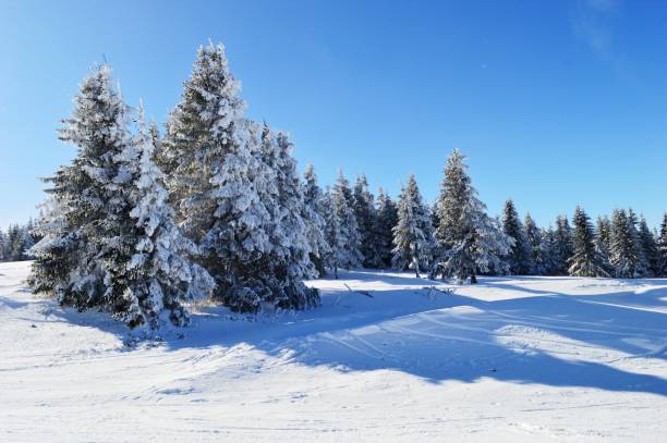 istock mountain landscape in winter on snow 1206644721