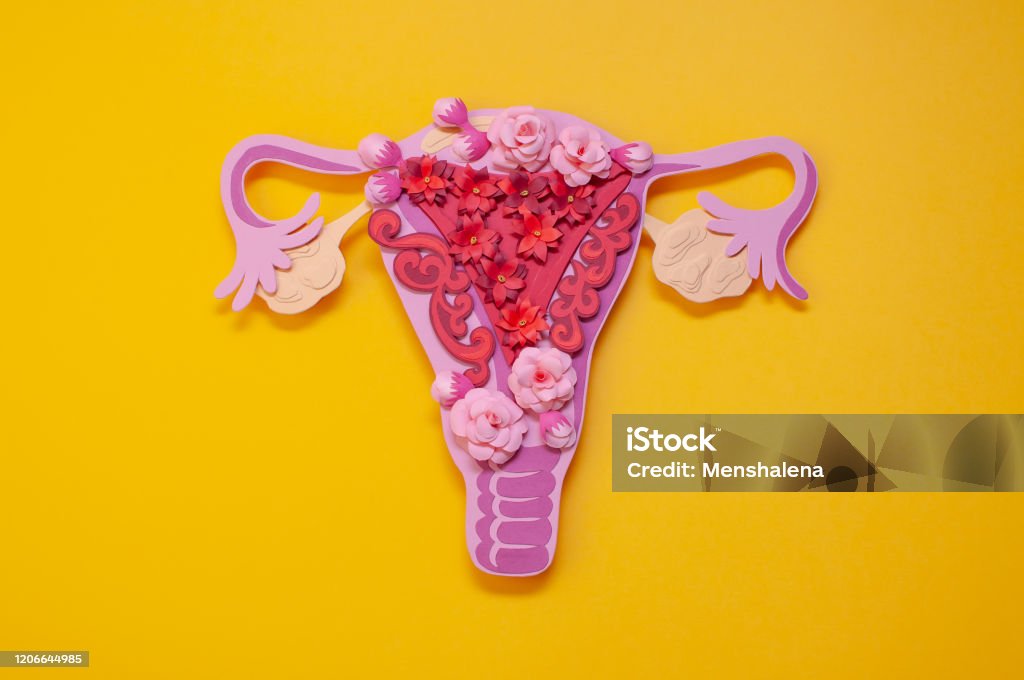 The women's reproductive system. The concept of endometriosis of the uterus. The women's reproductive system. The concept of endometriosis of the uterus. Beautiful art concept of gynecological diseases made of paper. Paper flowers. Endometriosis Stock Photo