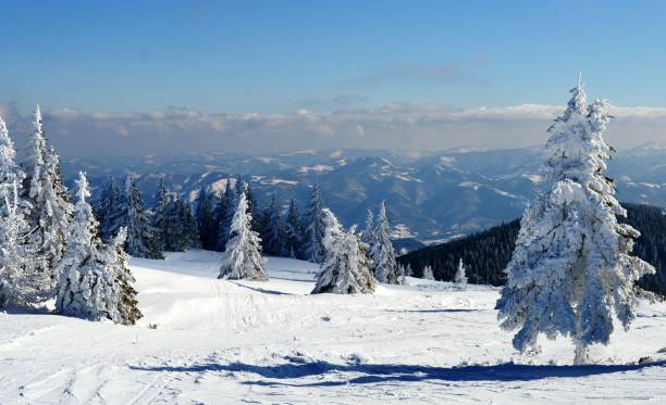istock mountain landscape in winter on snow 1206645194
