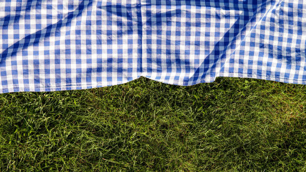 istock Green grass blue checked picnic cloth blanket 1206645357
