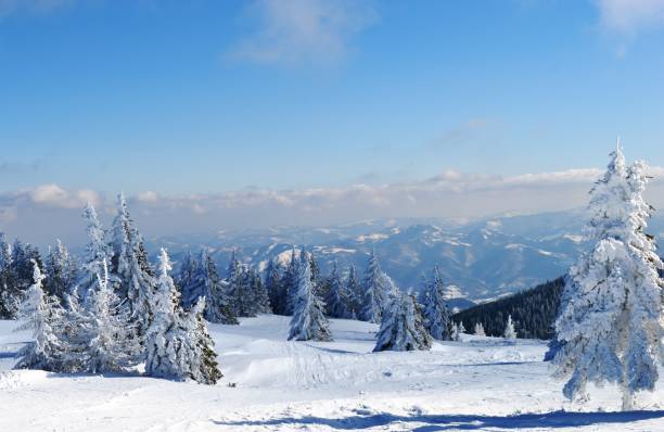 istock mountain landscape in winter on snow 1206646906
