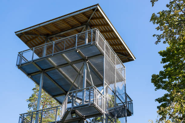 istock A watching tower in the coniferous forest. Clear blue sky. Finland 1206648296
