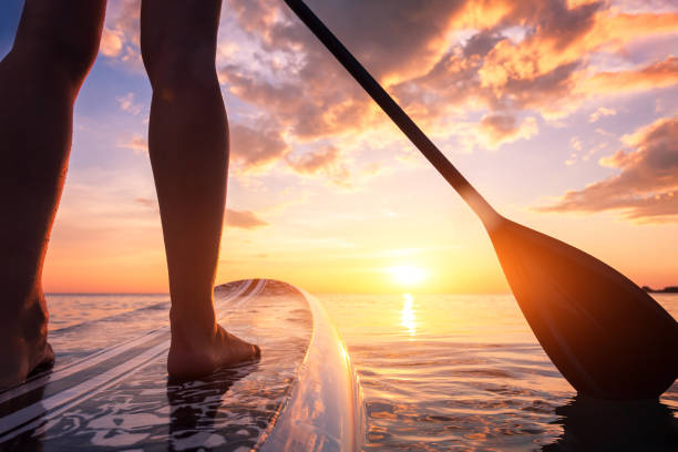 stand up paddle boarding oder standup paddleboarding auf ruhigem meer bei sonnenuntergang mit schönen farben während des warmen sommerstrandurlaubs, aktive frau, nahaufnahme von wasseroberfläche, beinen und board - paddelbrett stock-fotos und bilder