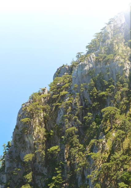 istock Beautiful views from AI-Petri mountain, Crimea, Russia, sunlight, vertical frame 1206651837