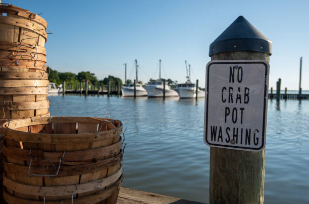 istock Bushel baskets for Maryland blue crabs 1206653158