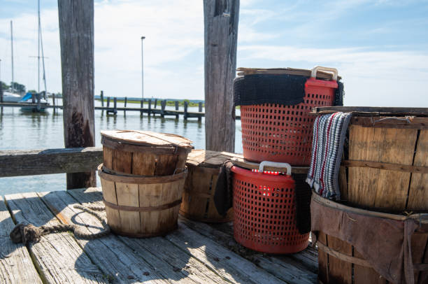 istock Fresh Catch of Maryland Blue Crabs 1206653753