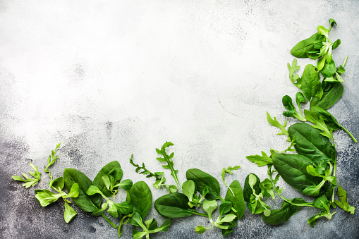 Healthy Food Background Green Fresh Herbs Mix On Gray Background Vegetarian And Vegan Food Concept Top View Copy Space Stock Photo - Download Image Now - iStock Healthy Food Background Green Fresh Herbs Mix On Gray Background Vegetarian And Vegan Food Concept Top View Copy Space Stock Photo - Download Image Now - iStock