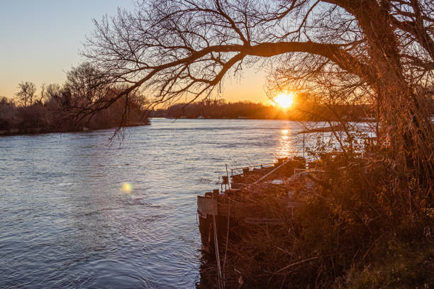 istock sunrise on the island of Barthelasse 1206657312