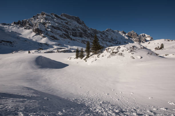 istock winter wonderland 1206657758