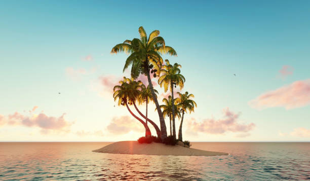 istock Paradise tropical island 1206659267