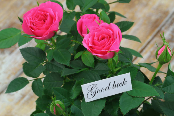 istock Good luck card with pink wild roses 1206660411