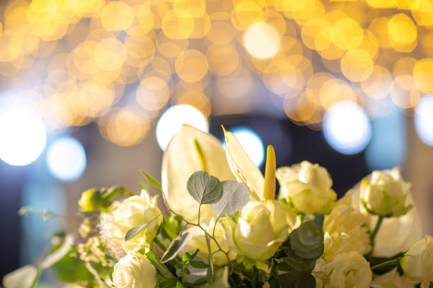 Golden bokeh，flowers