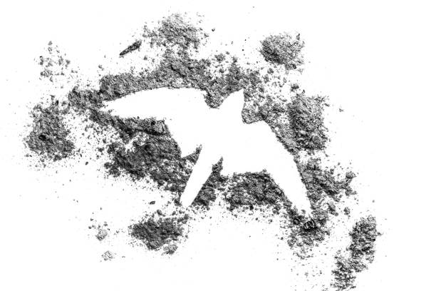 istock Falcon, hawk, eagle bird drawing silhouette made in ash 1206660639