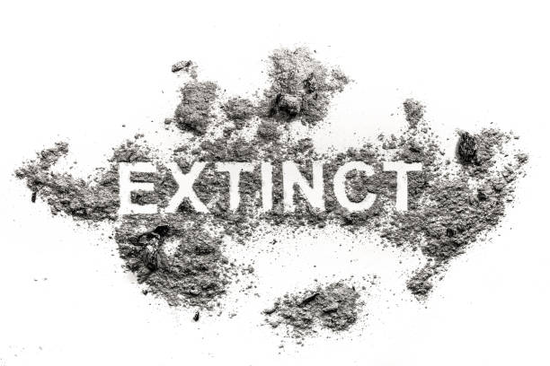 istock Extinct word written in ash, dust or dirt 1206660674