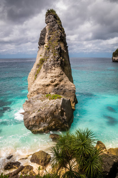 istock Diamond beach, Nusa Penida 1206661382