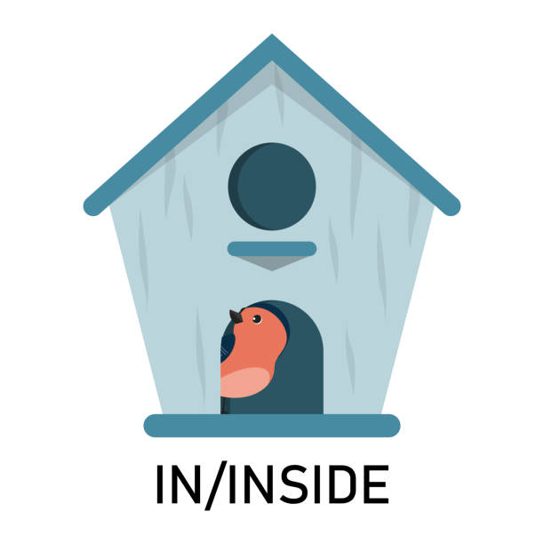 Bird And Birdhouse Learning Preposition Stock Illustration - Download Image  Now - Cartoon, Language, Teaching - iStock