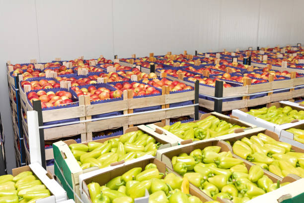 Apples Peppers Crates Peppers and Apples in Crates Storage Warehouse farm produce storage stock pictures, royalty-free photos & images