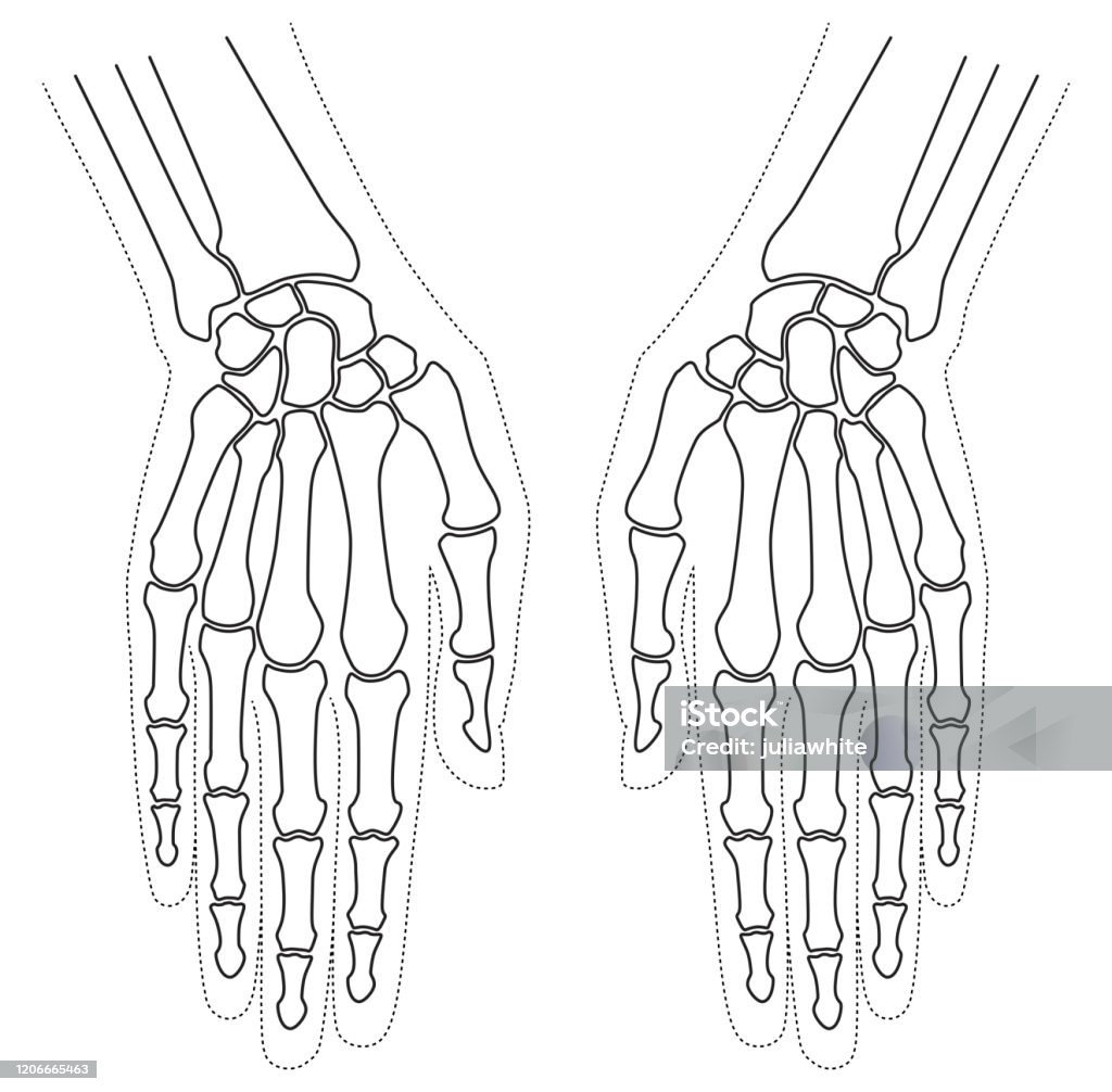 Bàn chân là bộ phận không thể thiếu cùng với xương bàn tay khi đề cập đến bộ phận cơ thể. Hãy cùng chiêm ngưỡng những hình ảnh vô cùng đẹp mắt về bàn chân cùng những tính năng tuyệt vời của chúng.