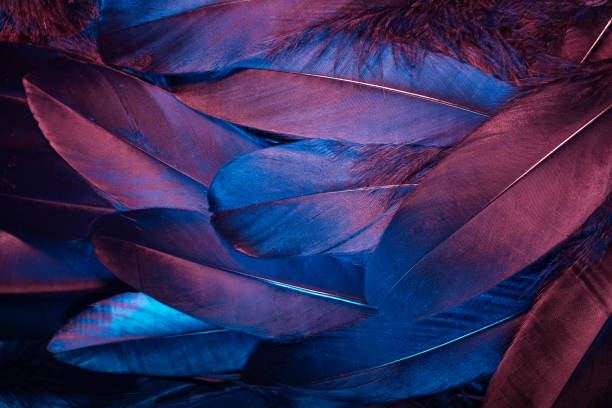 istock Neon glowing feathers of a bird background. Flat lay. 1206671947