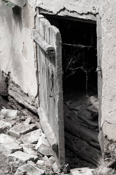 istock Slightly opened old weathered wooden door and spider web on a darkness background 1206672047