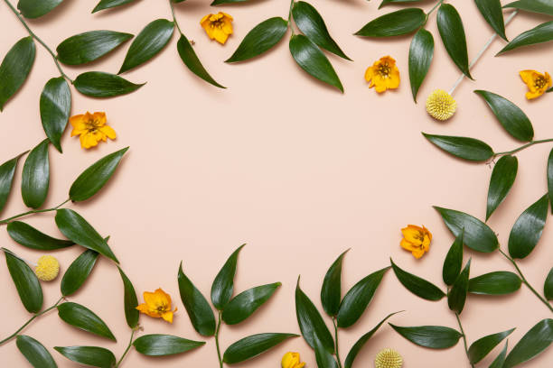 istock Flower flat lay for decorative design on beige background. Minimal romantic hipster concept, mockup background. 1206672935