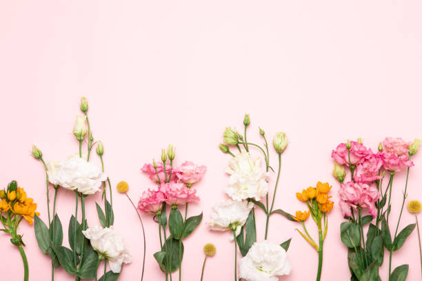 istock Flower flat lay for decorative design on beige background. Minimal romantic hipster concept, mockup background. 1206675279