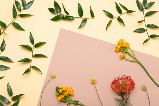 istock Flower flat lay for decorative design on yellow background. Minimal romantic hipster concept, mockup background. 1206675300