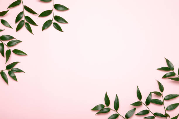 istock Green branch flat lay. Flowers minimal composition on pink background. 1206675316