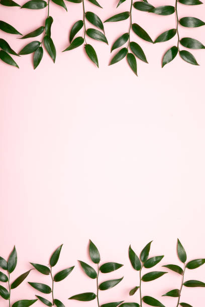istock Green branch flat lay. Flowers minimal composition on pink background. 1206675332