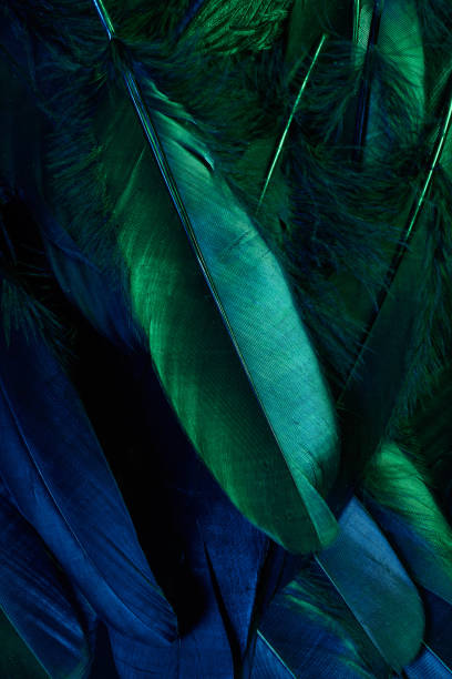 istock Neon glowing feathers of a bird background. Flat lay. 1206676990