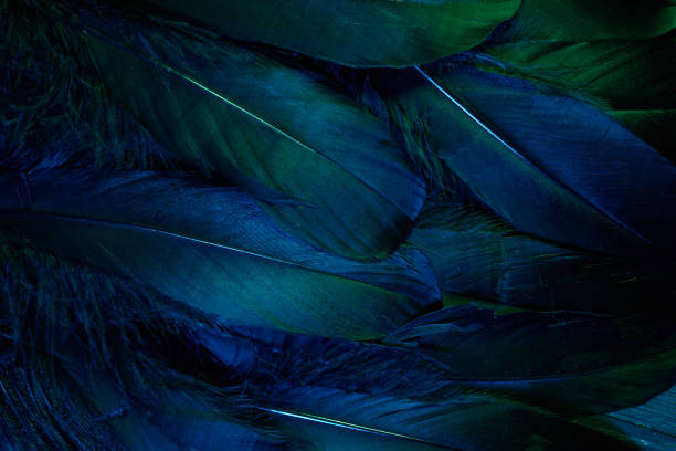 istock Neon glowing feathers of a bird background. Flat lay. 1206678021