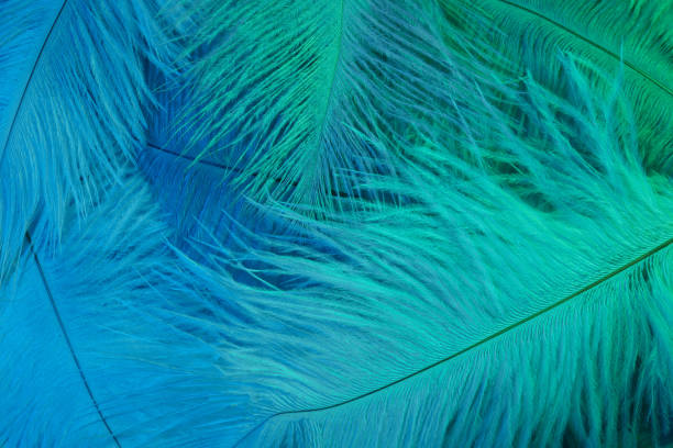 istock Neon glowing feathers of a bird background. Flat lay. 1206678389