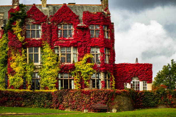 Pennyhill Park Hotel and Spa near Windsor Pennyhill Park building filled with red and green ivy during the Fall, and cloudy skies in the background surrey hotel southeast england england stock pictures, royalty-free photos & images