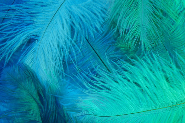 istock Neon glowing feathers of a bird background. Flat lay. 1206678544