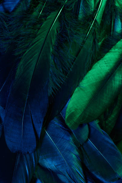 istock Neon glowing feathers of a bird background. Flat lay. 1206678606